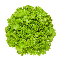 Lettuce head isolated on white background.
Full depth of field with clipping path.
