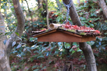 小さい井戸の屋根に積もる紅葉