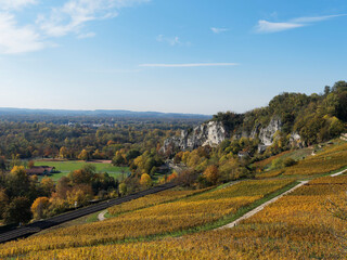 Fototapeta na wymiar Istein Weinberge. Herbstlandschaft. Weinreben am Fuße von Kalksteinfelsen und Isteiner Klotz