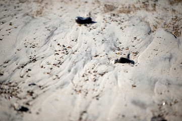 sand
