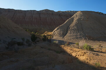 Almaty, Kazakhstan - 06.24.2013 : Shrubs and small trees in a sandy and rocky gorge. The Park Altyn Emel