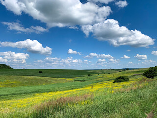 field and blue sky with clouds