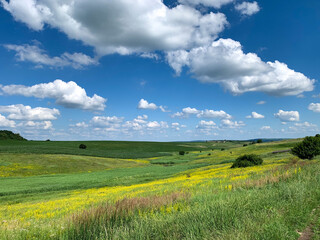 Fototapeta premium field and blue sky with clouds