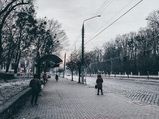 people walking in the city