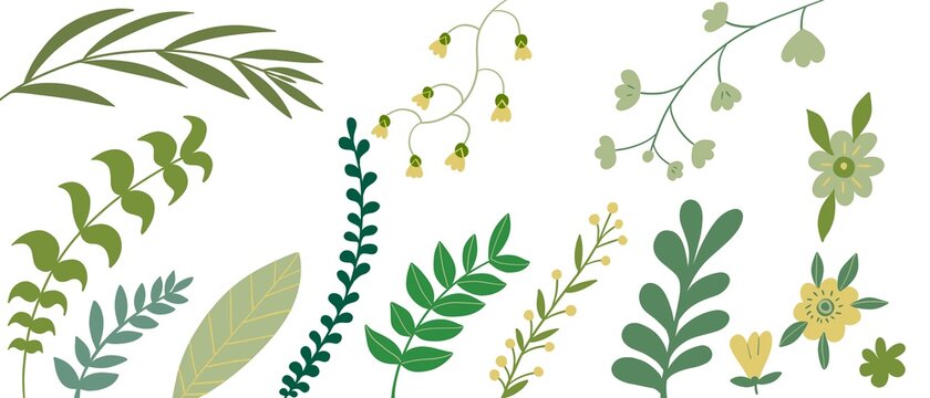 Disegno fiori, foglie e rami sullo sfondo bianco