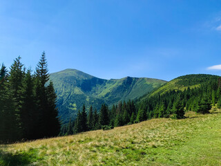 Fototapeta na wymiar landscape in the mountains