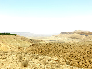 Obraz na płótnie Canvas sand dune in the desert
