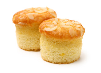 cup shape sponge cake on white background