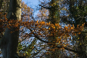 Nature green outdoor daylight