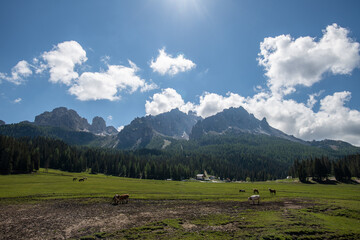 Alm in den Dolomiten