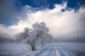 winter landscape of snowy road near the woods covered with snow and hoarfrost on a cloudy day