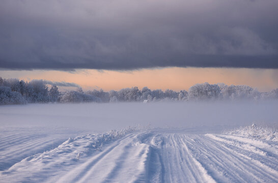winter landscape of snowy road near the woods covered with snow and hoarfrost on a cloudy day