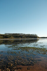 obidos lagoon green reflection