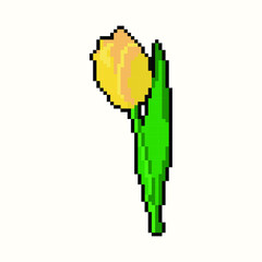 Tulip in pixel art vector illustration