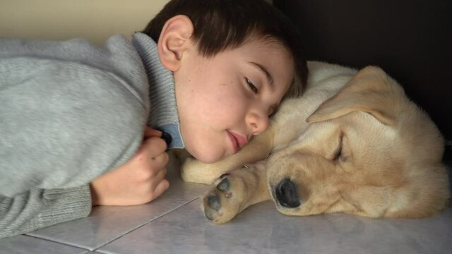 Child sleeps together with his labrador retriever puppy at home
