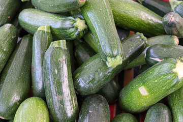 zucchini on the market