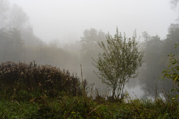 Obraz na płótnie Canvas Nature Outdoor autumn foggy dust