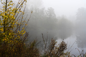 Nature Outdoor autumn foggy dust