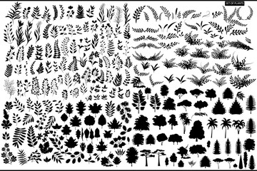 Vector set of various plants, twigs, trees on a white background. Collection of plants.