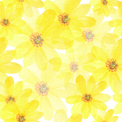 Watercolor flower vector background for your design