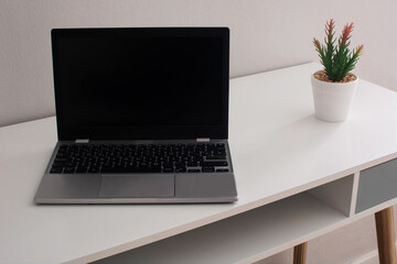 Modern workspace with laptop and flower on desk