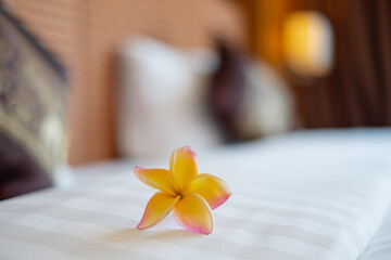 A hotel maid stacked towels on the bed and placed flowers on the towels in a hotel room