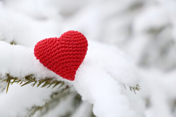 Valentine heart in winter forest, cold weather. Red knitted heart on snow covered fir branch, symbol of romantic love, background for holiday
