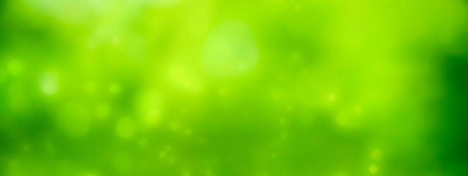 Spring background - Holiday banner, panorama  - green blurred bokeh lights - Green bokeh abstract background