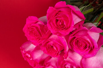 Bouquet made of pink roses. Valentines Bouquet of pink roses on red background