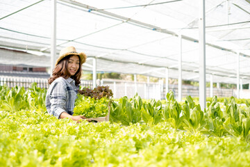 Hydroponics, Asian woman farmer holding vegetable baskets standing on a farm, growing organic, organic, commercial vegetables, small business entrepreneurs. Concept, organic vegetable farming