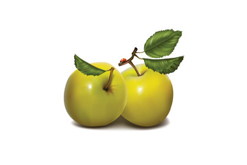 apples with leaves isolated
