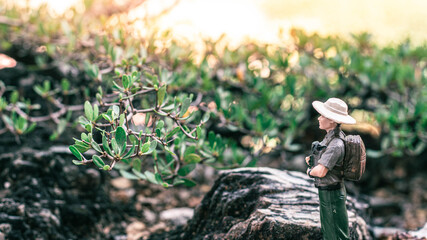 Miniature figure : A male explorer stands looking at the scenery and nature surrounding the...