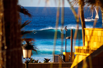 surfer catching a tropical wave