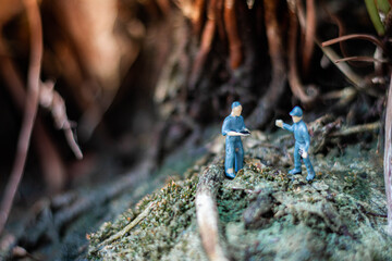 Miniature people : Tiny explorers are inspecting large flowers in the tropical forest. (We plant trees for a better world)