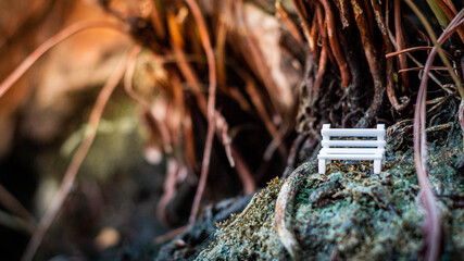 Close up mini white bench in a tropical forest with natural light background