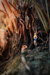 Miniature male photographer standing to take photo a female model