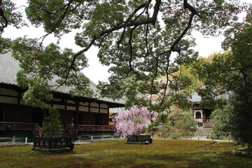 temple (shoren-in) in kyoto (japan)