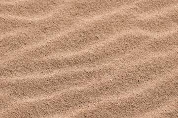 Fototapeta na wymiar textura de arena de playa. ondulaciones en la arena del desierto