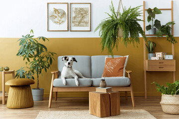 Stylish interior of living room with design furniture, gold pouf, plant, mock up poster frames,...