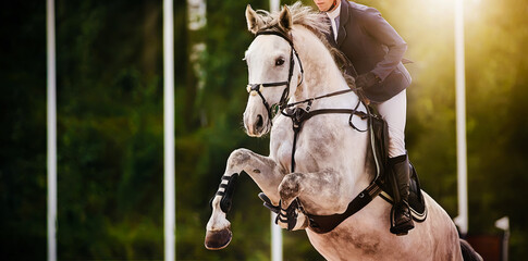 A dappled gray sports horse jumps with a rider in the saddle at a summer show jumping competition...