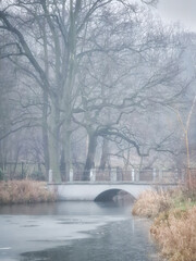 mostek w parku w mglisty zimowy poranek