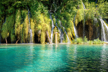 Fototapety na wymiar - Fototapeta24.pl