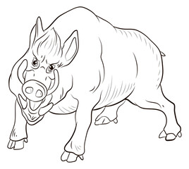 Animals. Black and white image of a large wild boar, coloring book for children.