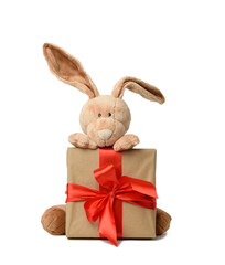 cute plush rabbit holding a gift box tied with a red silk ribbon