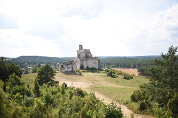 Fototapeta na wymiar old castle on the moutain