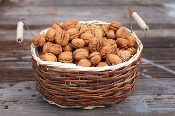 large horizontal photo. summer day. brown wooden basket with handles. dry walnuts in a basket. goat with nuts on an old gray wooden table. close-up, top view. a lot of nuts.