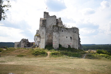 ruins of castle