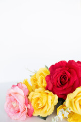 pink, red and yellow roses flat lay against a white background