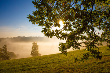nebeliger Herbstmorgen Laub Sonne Nebel