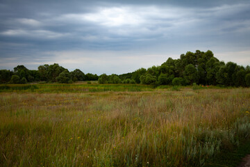 large horizontal photo. Nature. Ecology. Summer time. Environment. Scenery. Forest before the rain. Overcast. Wild nature. Field and trees under a gray rainy sky.